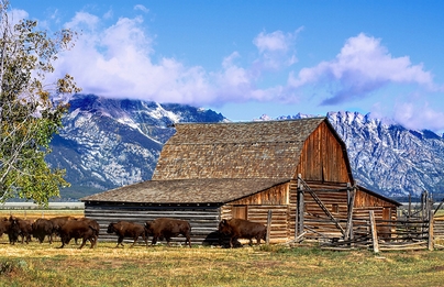 摩門農場 (Mormon row barns)