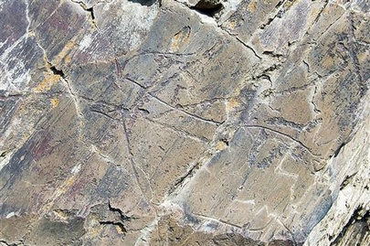 科阿峽谷史前岩石藝術遺址 (Coa Valley Prehistoric Rock Art)